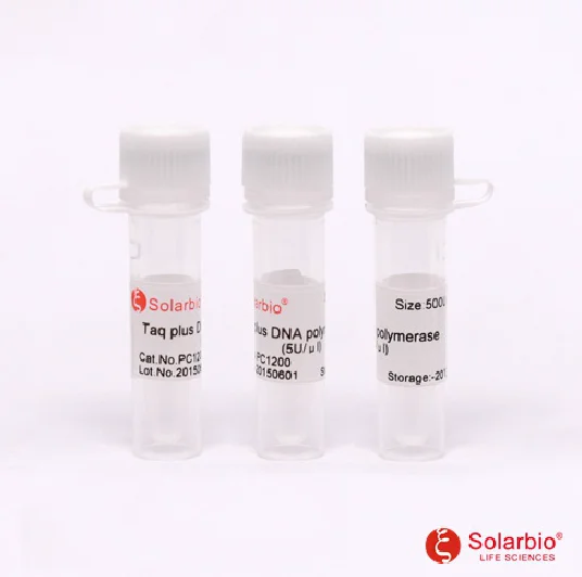 
Taq Plus DNA Polymerase 