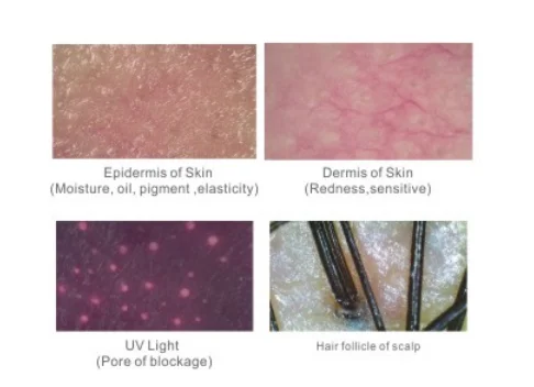 factory price  portable scalp microscope 3d skin analyzer  3inch monitor wireless wifi uV skin and hair analyzer machine
