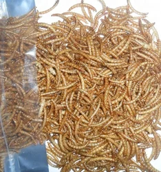 factory price top quality animal feed dried earthworm for fish feed
