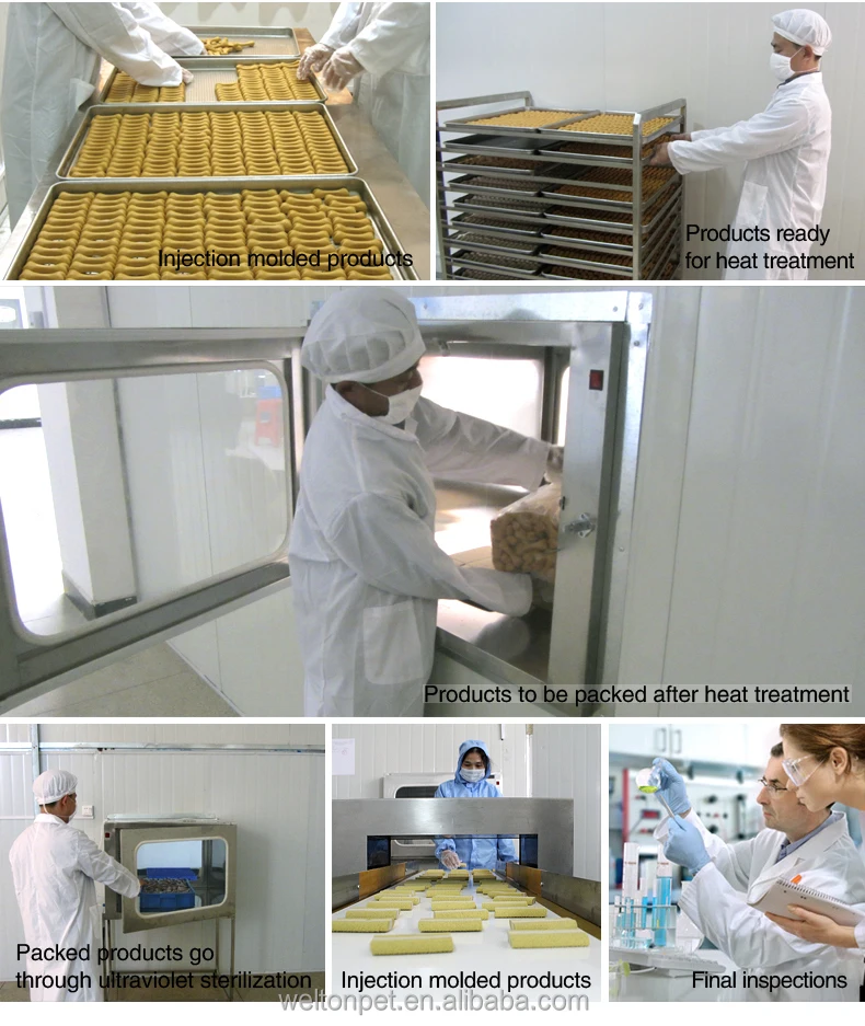 VEGEBRAND Comprehensive Hair Beauty dog food supplement