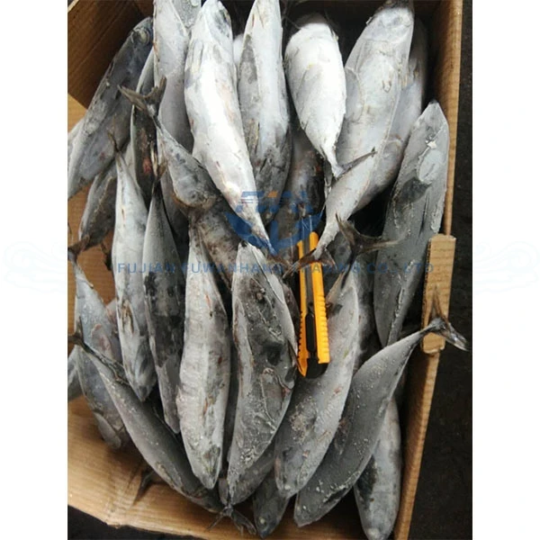 
Fu Wan Hang Frozen Bonito Fish For Canned 
