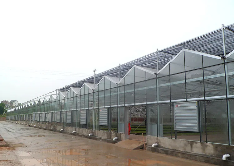 Agricultural Used Victorian Polycarbonate Greenhouse Equipments for Sale