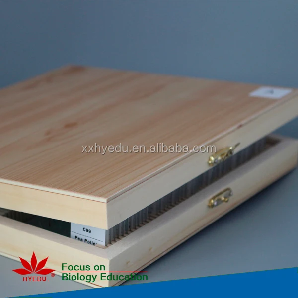 Fixed set Most popular algae biology prepared microscope slides set for biological lab equipment