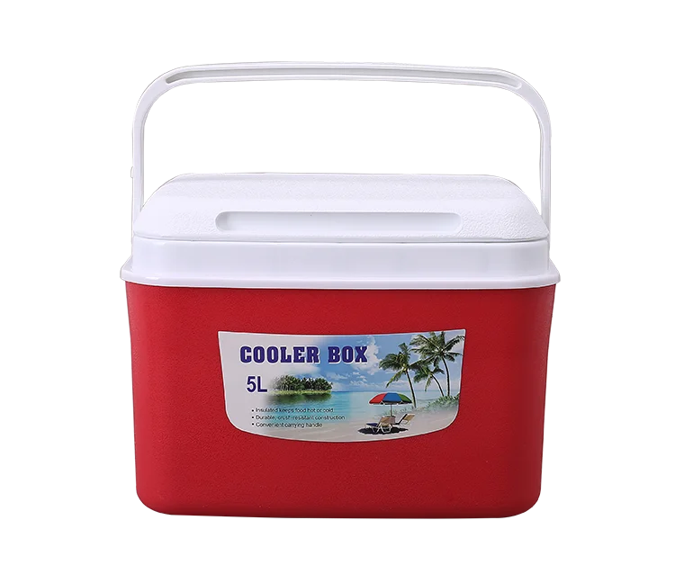 Fast Delivery Useful Mini Travelling Cold Ice box Cosmetic Cooler Box 5L
