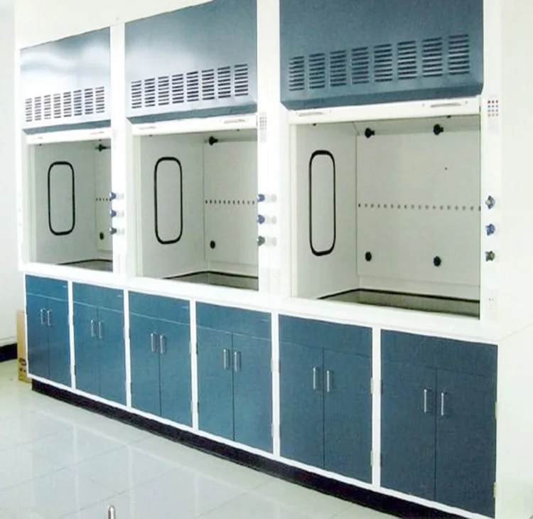 Walk in Steel Chemical Laboratory Fume Hood / chemical fume cupboard mobile fume hood price china