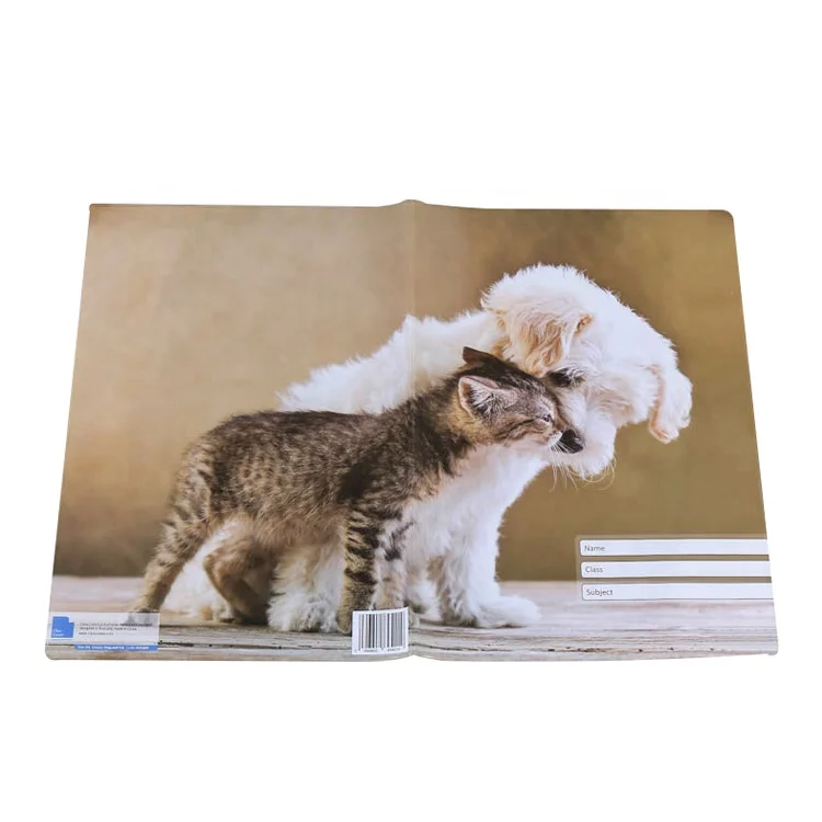 Дешевый виниловый цветной Чехол-книжка из ПВХ для студентов