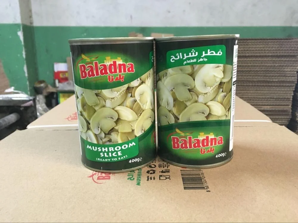 Lower Price Canned King Oyster Mushroom with High Quality