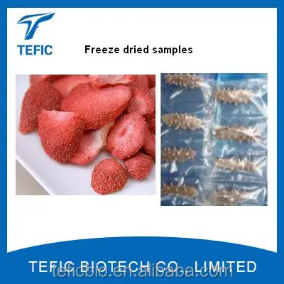 100kg per batch Industrial fruit freeze dryer/Lyophilizer/Freeze Drying Machine