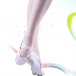 08B5B002   2021  Comfortable Cheap Price Girl  Ballet Shoes Dance Training Soft Canvas