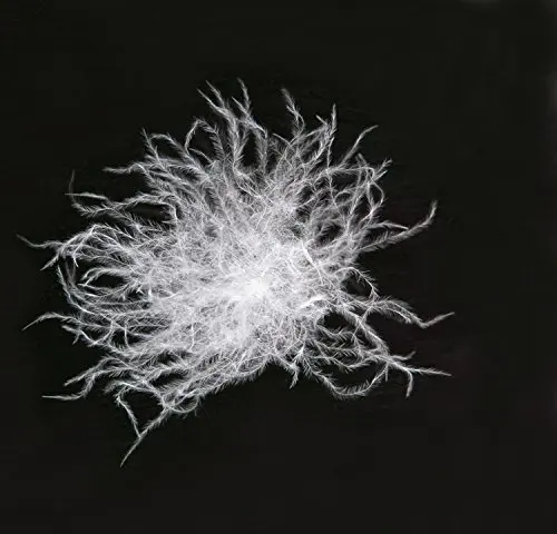 Wholesale Cheap Price Washed White Goose Down Feather