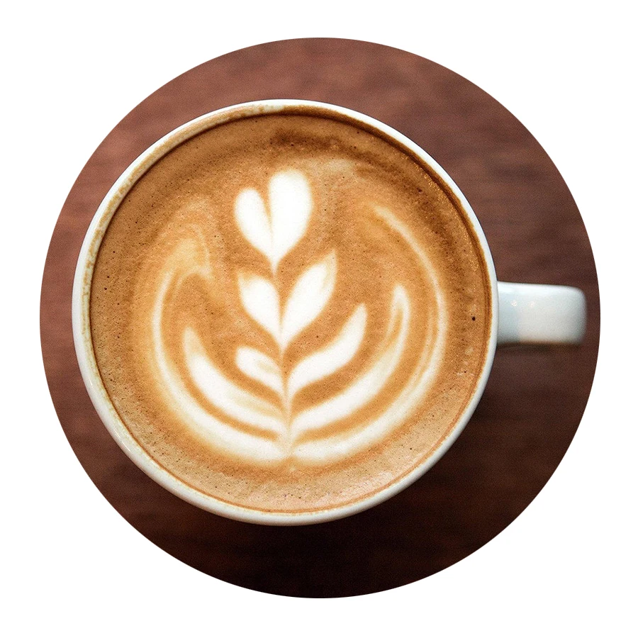 Vietnam hot coffee ingredient non dairy creamer manufacturer