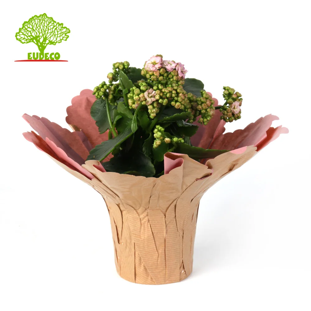 cheap Laminated printed kraft pot covers