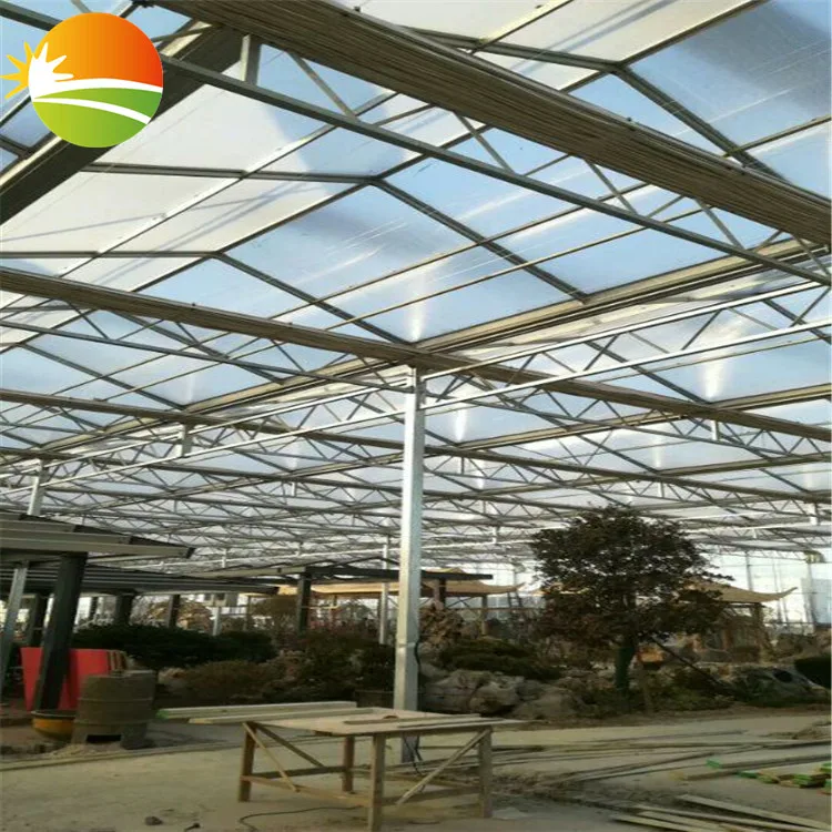 Cheap Tomato Vegetable Greenhouse