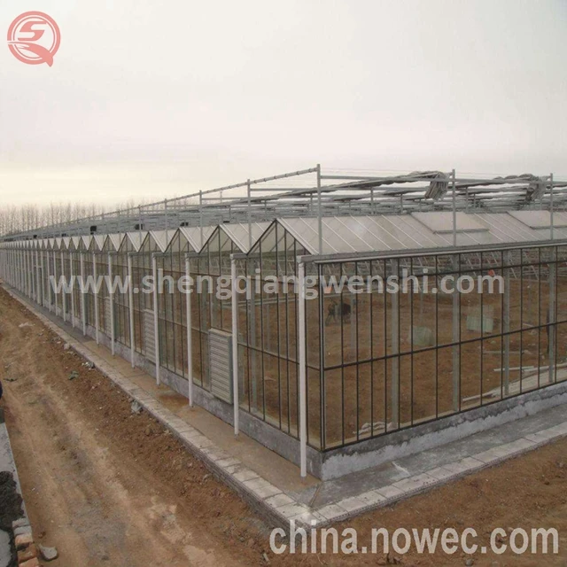 Клубничный поликарбонатный лист для теплиц, сельское хозяйство, зеленый дом