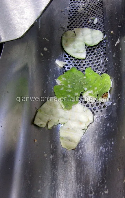 white/pink guava concentrated pulp/puree process production plant