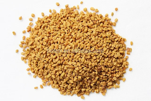 Natural Greek hay Seed Extract 4-hydroxyisoleucine