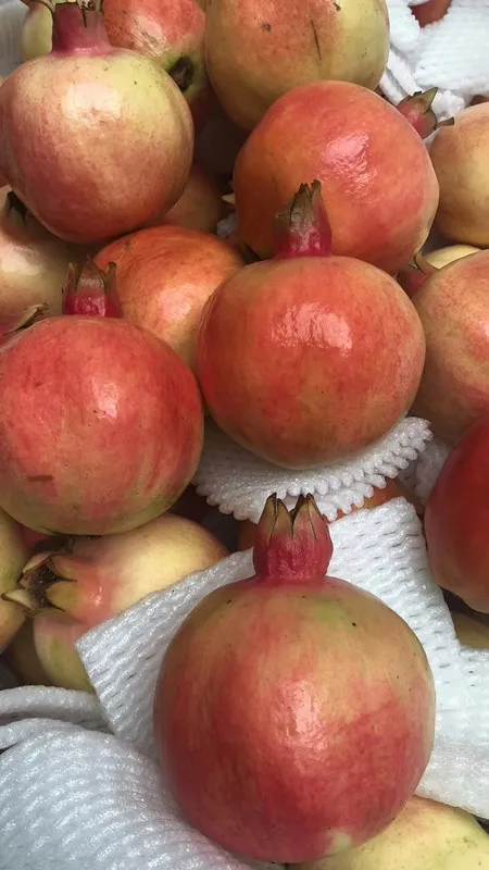 
Fresh new crop pomegranate for sale 