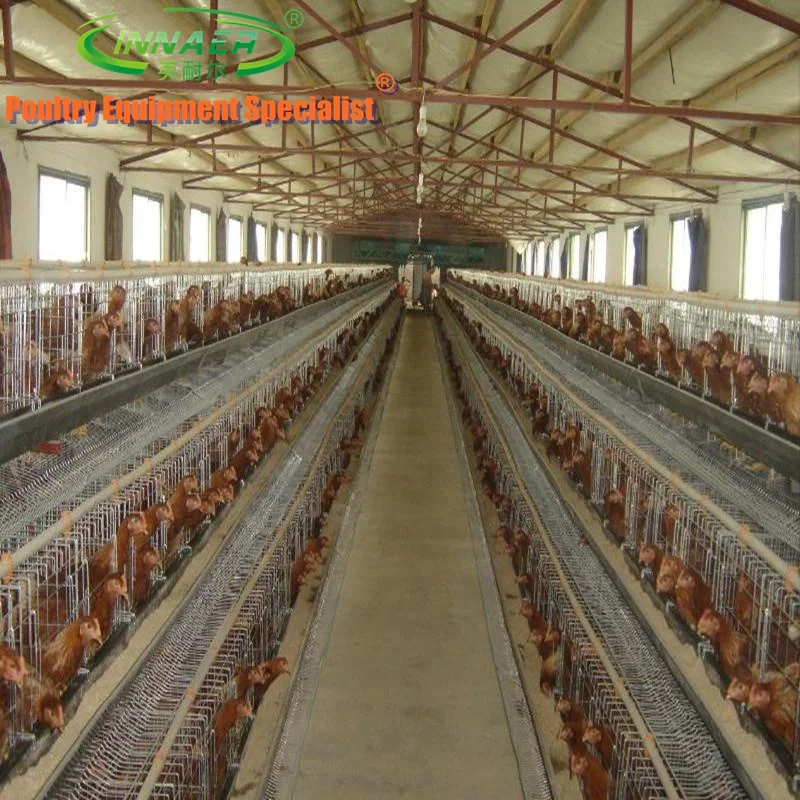 second hand layer poultry cages