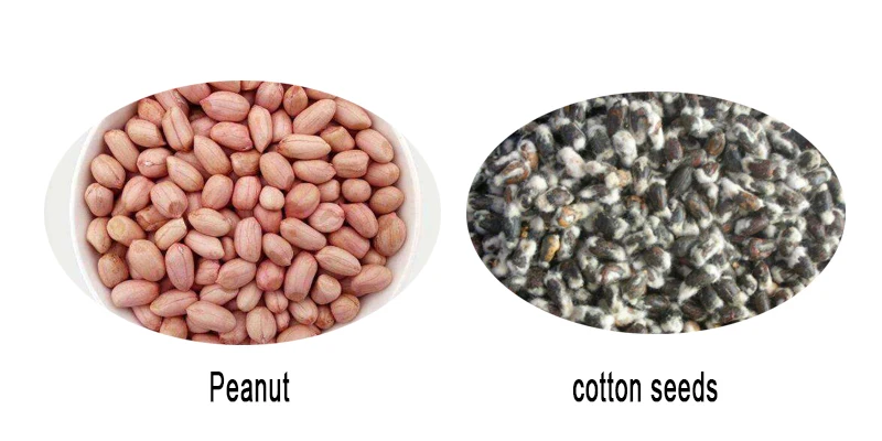 Automatic peanut groundnut walnut castor seeds sesame  moringa olive copra oil press extruder extractor mill expeller machine