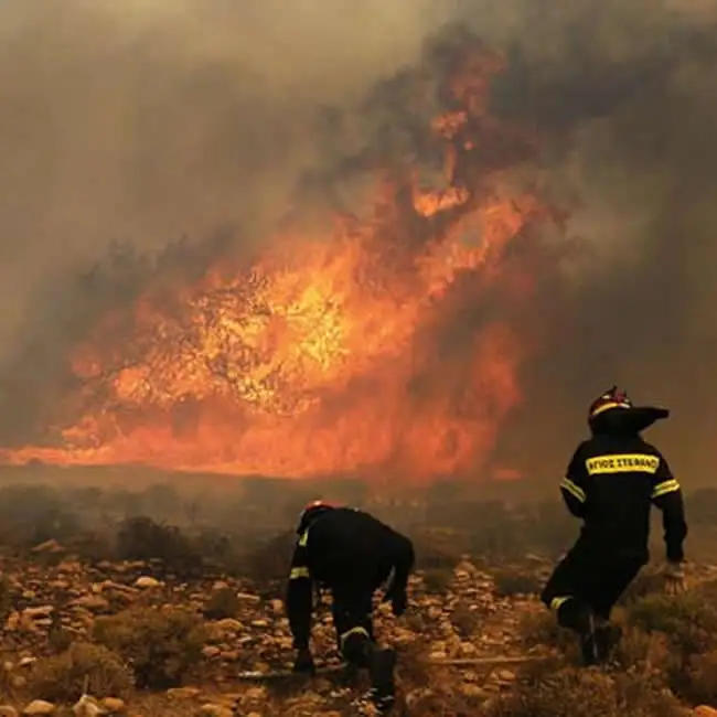 Greatest Forest Fire Fighting for forest wildfire