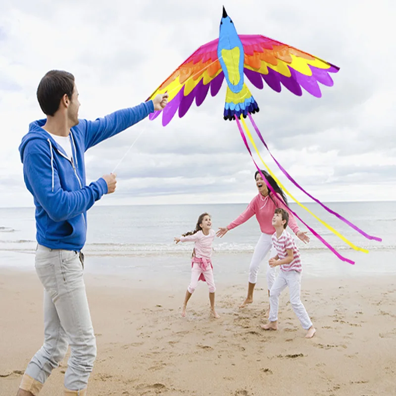 New design beautiful bird phoenix kite for sale