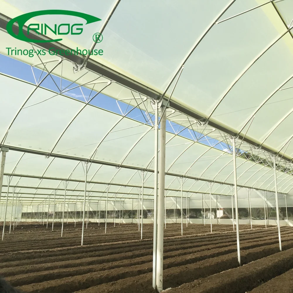 Trinog Design folding portable greenhouse for sale