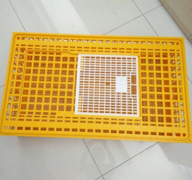 Live Chicken to Transport Cages for Sale Transport Basket New Product 2023 Provided Bearing Chicken Crates Professional Plastic