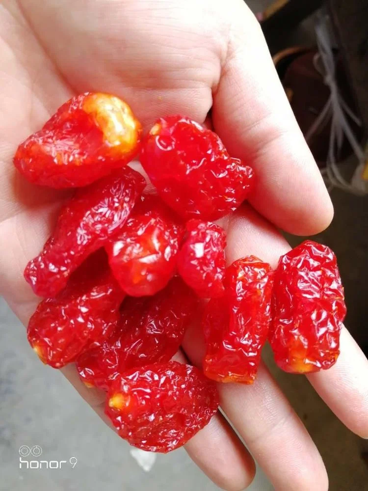 Hot Selling Sweet Dried Fruit Dry Cherry Tomato