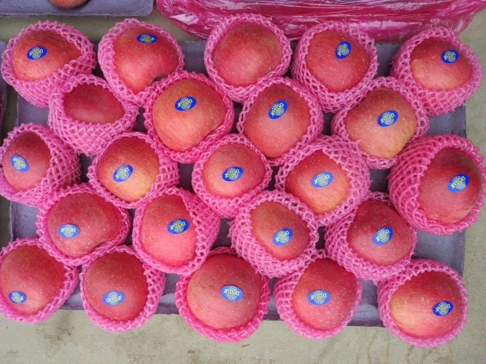 20kg carton Gala Apple