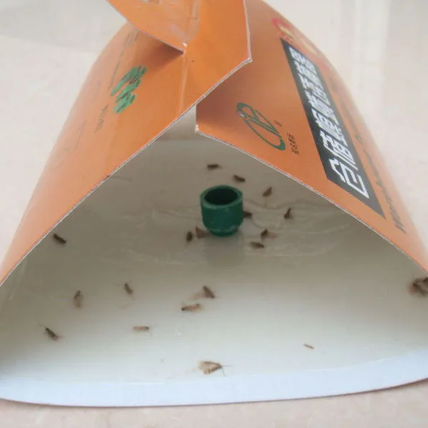 Hot sell clothing moth feromon cathers to control clothes moth pheromone traps