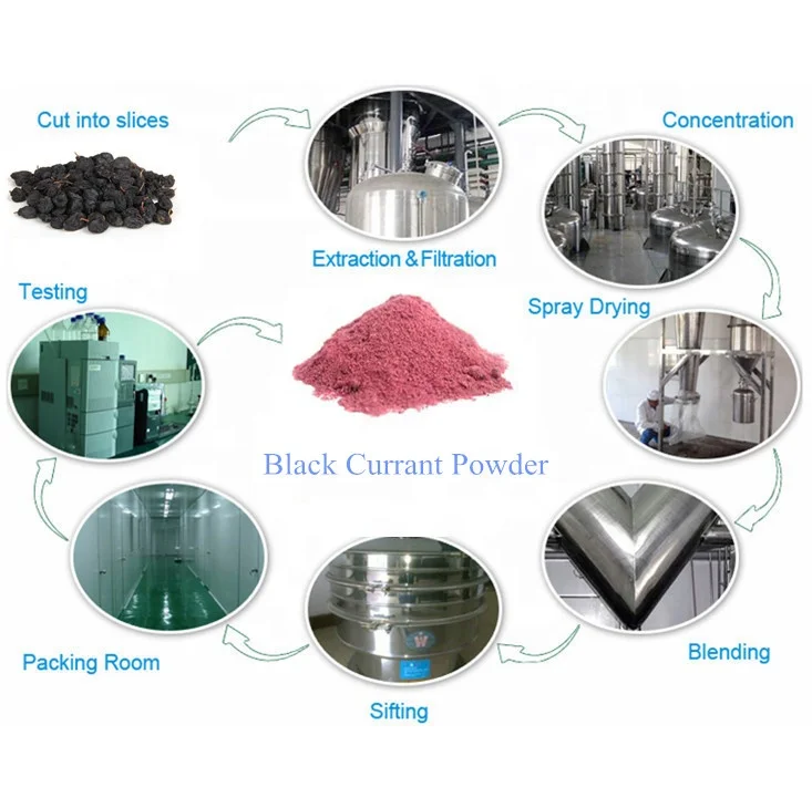  Чистый замороженный порошок сока черной смородины по выгодной цене