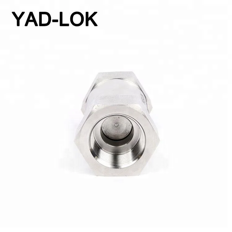 Stainless Steel 316L Double Ferrule High Pressure Non-return Check Valve