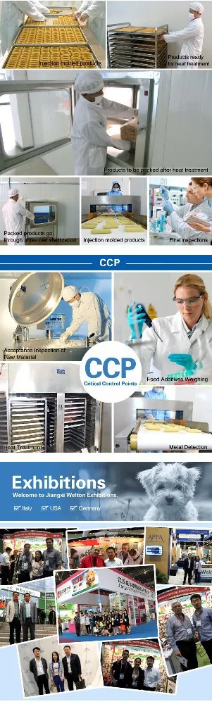 Зеленый чай, свежий здоровый корм для собак, закуска для собак