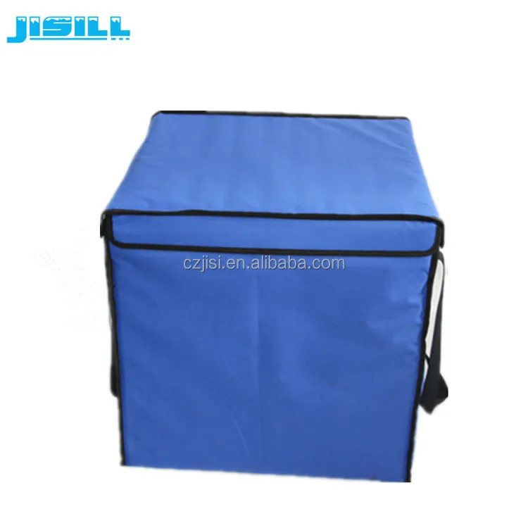 Medicine Transport Use Freezer Cooler Box For Effective Temperature Control