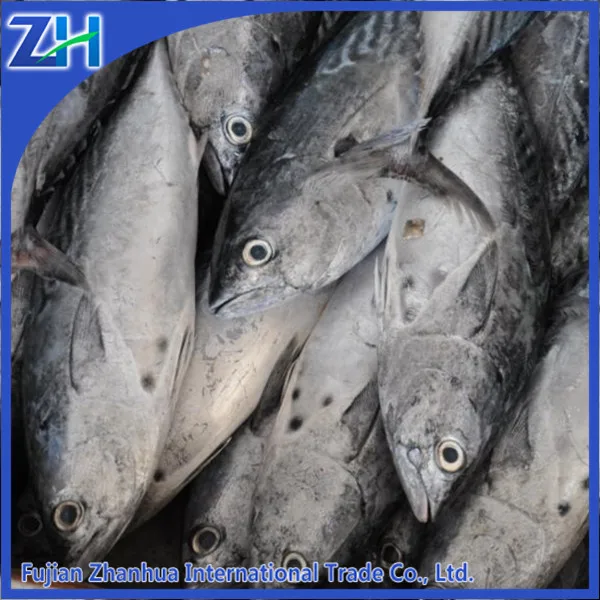 замороженной рыбы скумбрии на продажу