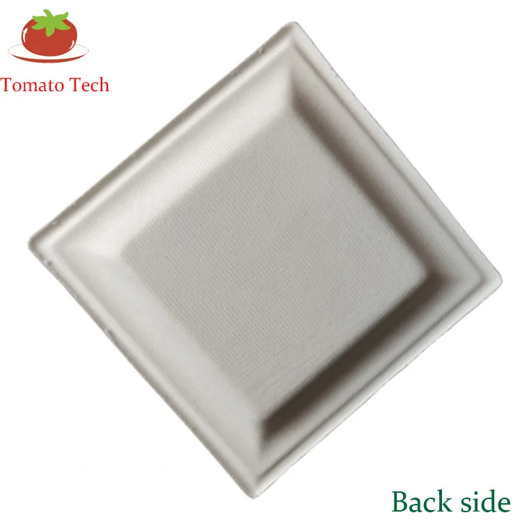 Compostable Biodegradable Sugarcane Dinnerware Bagasse Paper Pulp 10inch Square Plate