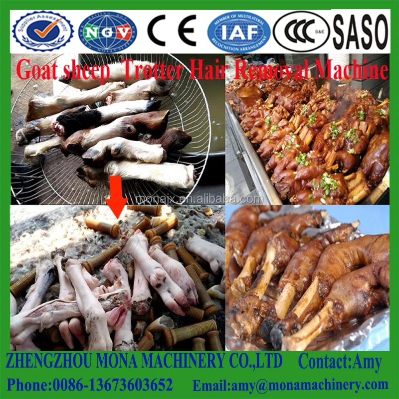 Pig Scalding and De Hairing Combination Machine Cow Pig Sheep Feet Hair Removing Machine Price in South Africa