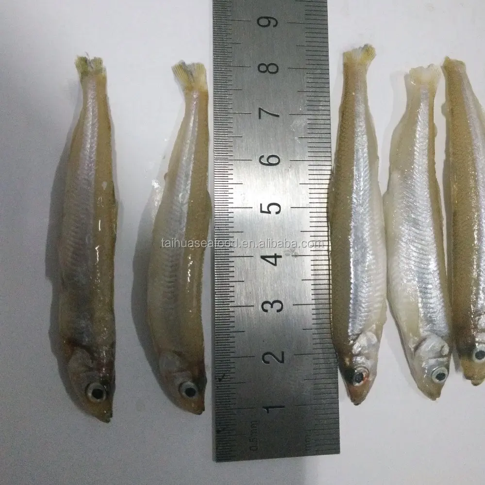 Все типы замороженных морепродуктов, дешевый пруд, поставщик рыбы