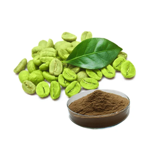 Factory Bulk Price Pure Green Coffee Bean Extract Powder Chlorogenic Acid
