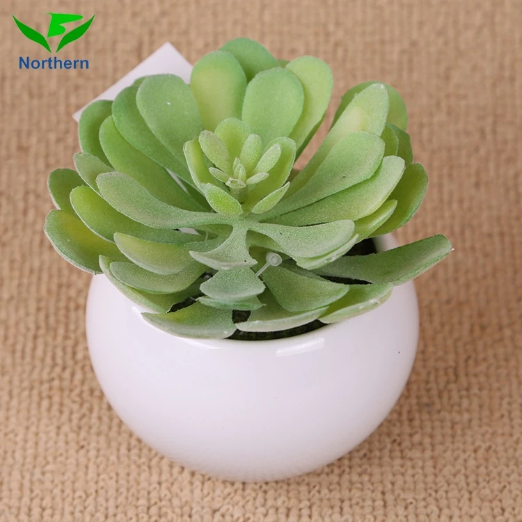 China Supplier ceramic artificial plant pot succulent wholesale artificial plants
