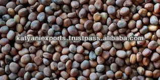 100% Pure Wintergreen Oil (Gaultheria)