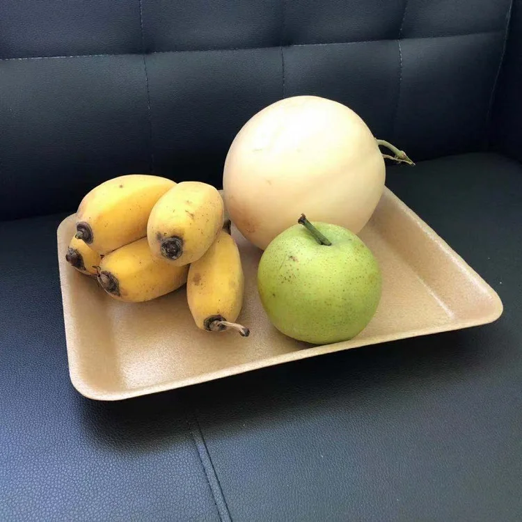 Disposable Biodegradable Composable Cornstarch PLA  Packaging Foam Tray For Food/Vegetables/Meat