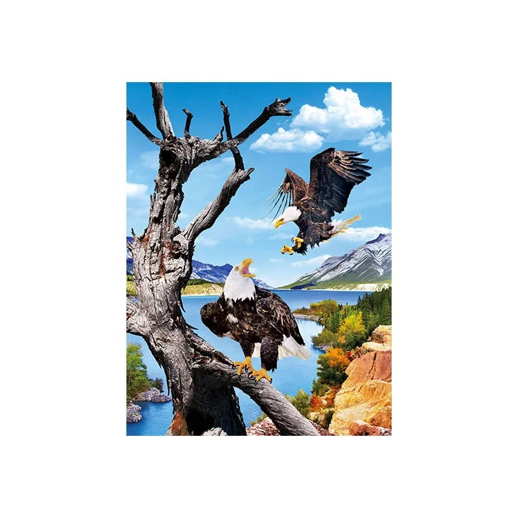 
High definition 3D lenticular picture printing cute owl picture for best price ready to ship 