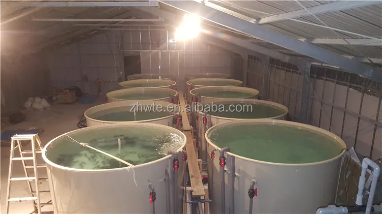 Modern Fish Farming Equipment Tools,Pool Fish Farming Bangladesh Recirculating Aquaculture Sea Fish Farming