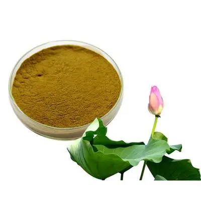 
Free Sample Provided Lotus Leaf Extract Powder 2% 98% Nuciferine HPLC 