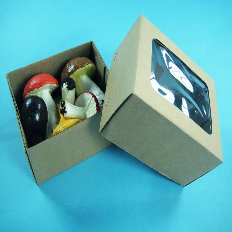 
High Quality Low Price Mushroom Models Set 