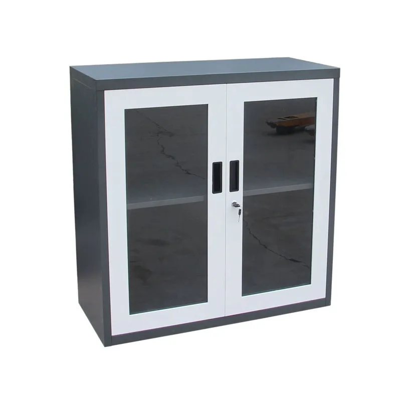 Small 2 Doors Glass Glass Front Locking Low Storage Cabinet