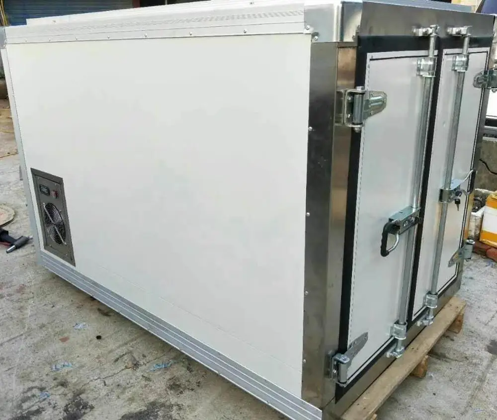 Cold chain DC Mini Portable Cold Box With Chiller for milk delivery/food delivery/ medicine delivery