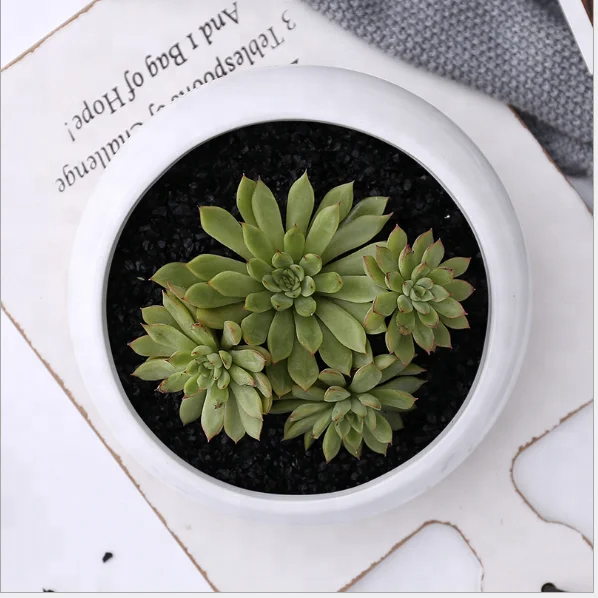 Ellipse fashion home ceramic flower pot