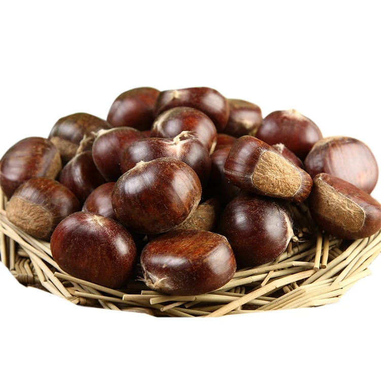 Сладкий свежий каштан в продаже ----